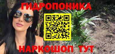 спайс Тара