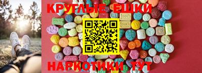 спайс Тара