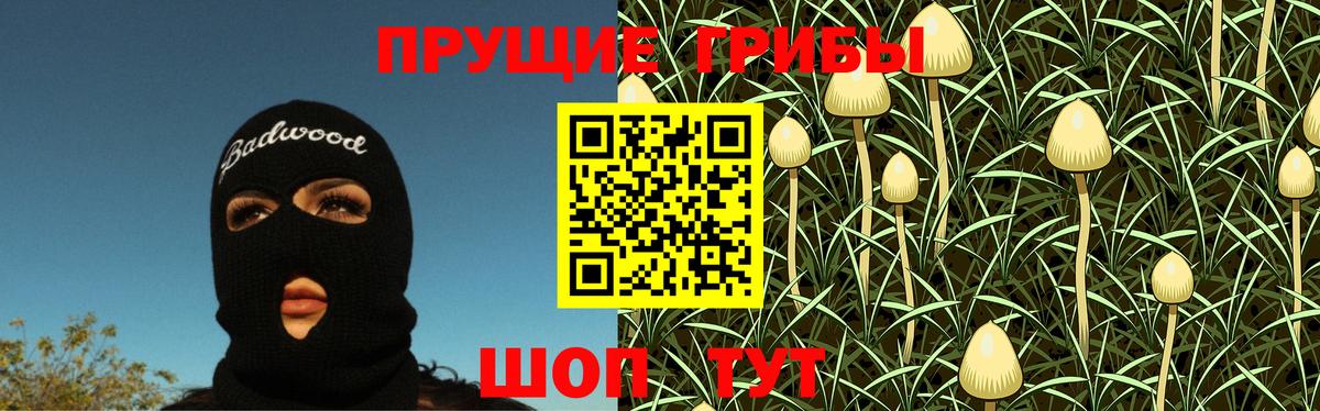 Галлюциногенные грибы прущие грибы  Вход с VPN  Бердск 