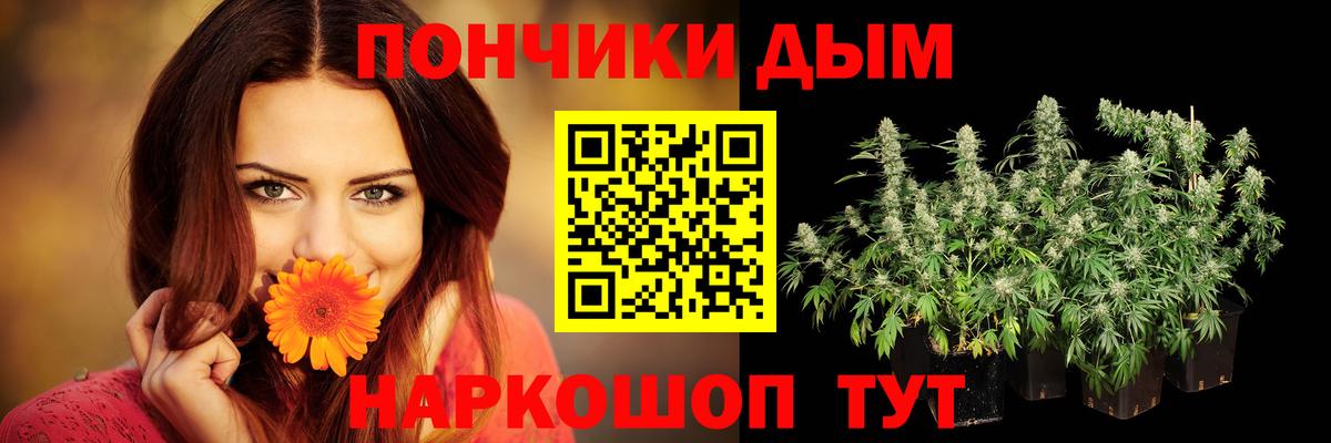 Бошки марихуана SATIVA & INDICA Бердск